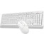 Tastatūra + pele A4Tech Fstyler FG1012 White - foto 2