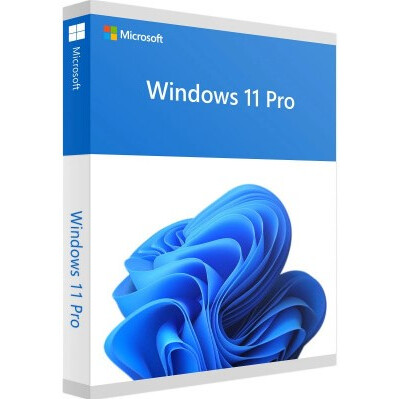 Programmatūra Microsoft Windows 11 Pro 64-bit English 1pk DSP OEI DVD (FQC-10529)