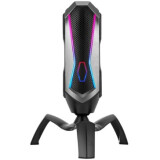 Mikrofons Ritmix RDM-177 USB Black