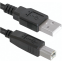 Kabelis USB 2.0 A (M) - B (M), 3m, Bion BXP-CCP-USB2-AMBM-030