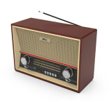 Radiouztvērējs Ritmix RPR-102 Wood