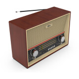 Radiouztvērējs Ritmix RPR-102 Wood